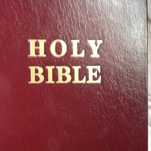 toyinruth's profile picture. Loving GOD the FATHER,loving JESUS the SON OF GOD by the power of the HOLY SPIRIT of GOD. Author, blogger... Follow back//