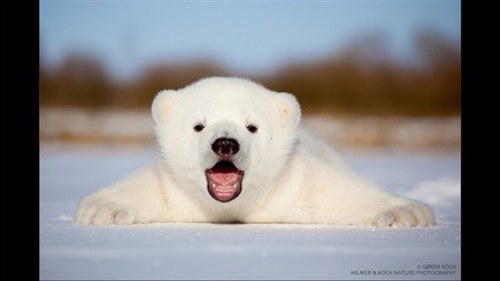 Ferguemos's profile picture. No hay que hablar mal de los viejos ni de los ricos. Por que para allá vamos...