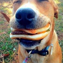 Al Wooster - @al_wooster - Twitter