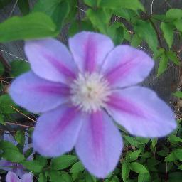 Spr1ng2009's profile picture. 🇨🇦 Proudly Canadian 🇨🇦