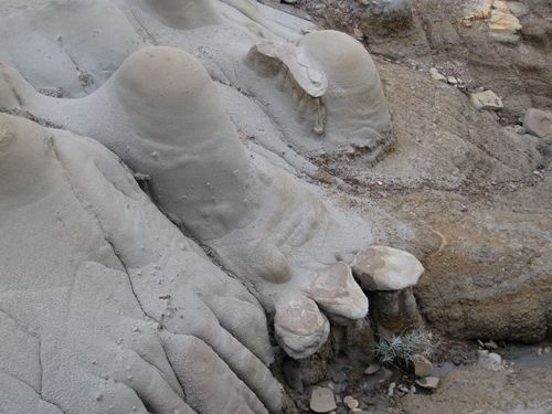 Pragmatics_ftw's profile picture. ... New reality: A government that cares.  Alberta