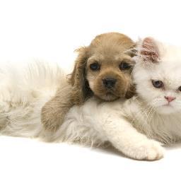 myliah3's profile picture. 