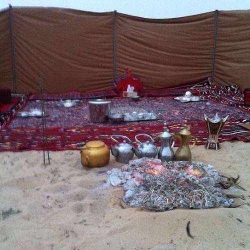 mashil1132's profile picture. 