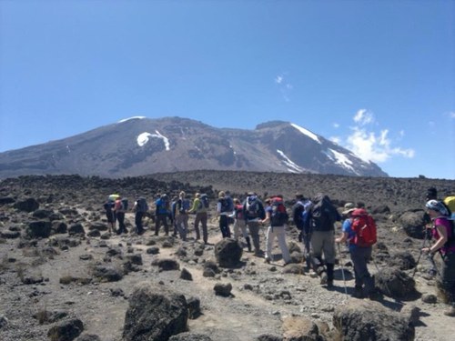 m_oxen's profile picture. 