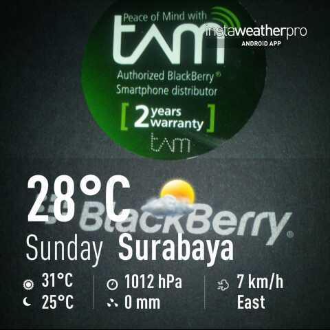 BBTORCH9800_TAM's profile picture. fast info +6289617635335