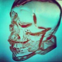 Flavio Scorsato (@flavioscorsato) 's Twitter Profile