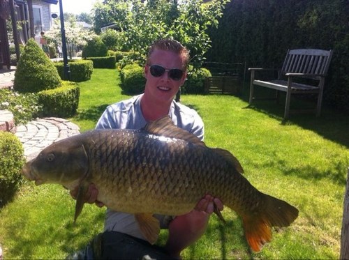 HansHansmes's profile picture. 