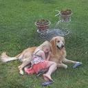 Sonny griffith - @tinbendeer - Twitter