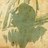 urban_hacking's profile image