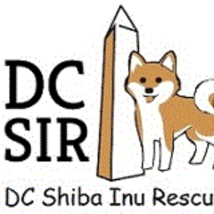 DC Shiba Inu Rescue