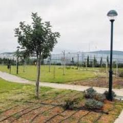 pakepogr's profile picture. 