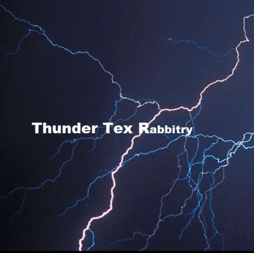 thundertexrabbi's profile picture. 