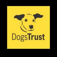 Dog Trust Cardiff (@dt_cardiff) 's Twitter Profile