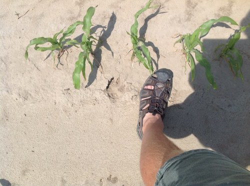 CLMOVE's profile picture. 