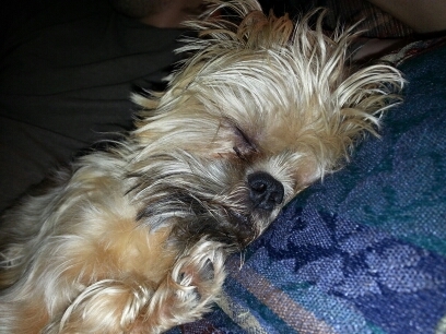 galore8's profile picture. I love life.