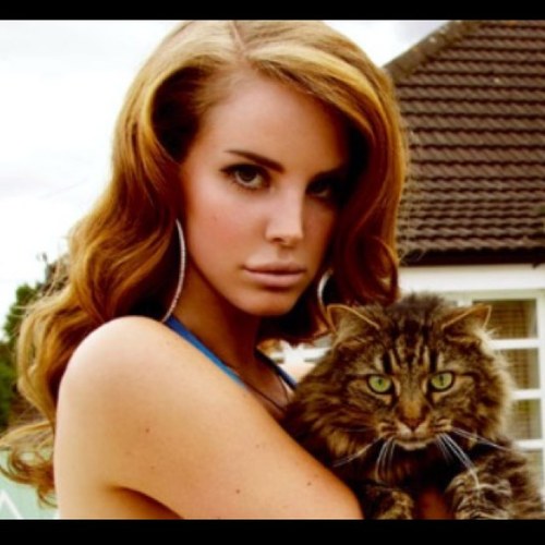 Gay4LanaDelRey's profile picture. Lana Del Rey is THE queen, and your argument is invalid.
