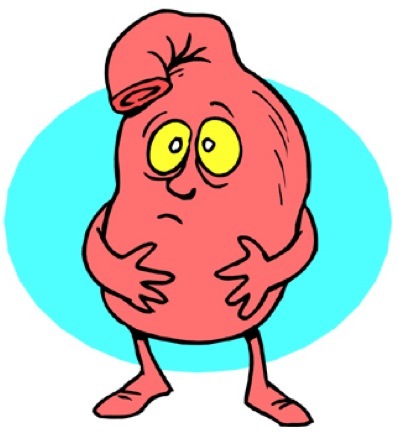 RusStomach's profile picture. 