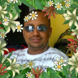 nurkey15's profile picture. 