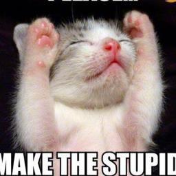 000aaaaaaaaahgh's profile picture. 