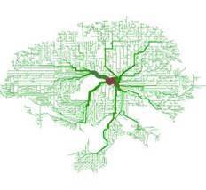 Rehabilitación y Entrenamiento #Neurocognitivo para personas con #patologíadual