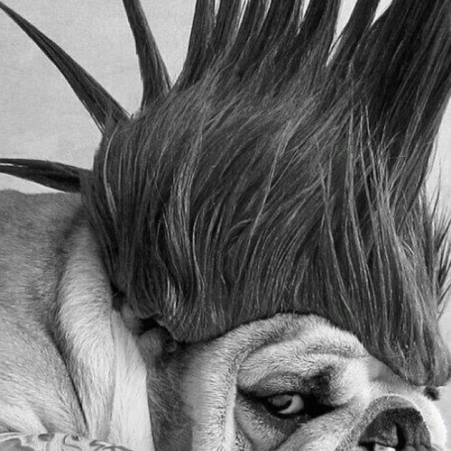 jdamian84's profile picture. 