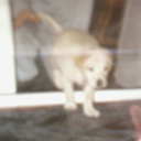 luke thorpe - @lukethorpe98 - Twitter