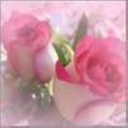 Stefani Edwards - @StefaniEdwards2 - Twitter