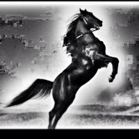 الشامخ (@azez_800m) Twitter profile photo
