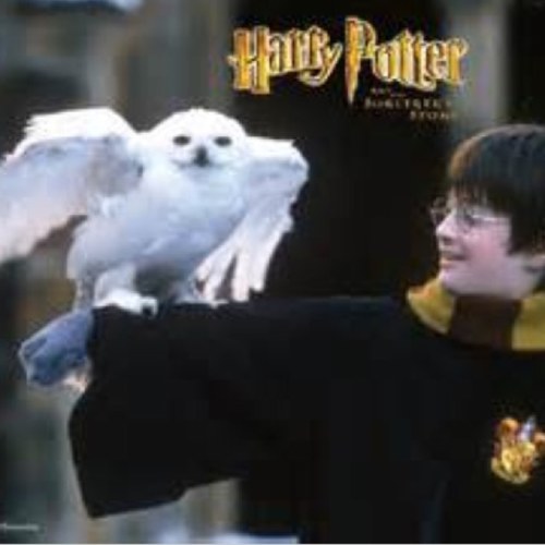 justademigod123's profile picture. Mr riordan and mrs rowling ruined my life. HUFFLEPUFF PRIDE. ATHENA

 Turning to page 394 since 1997.