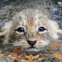 Homer Collier - @HomerCollier1 - Twitter