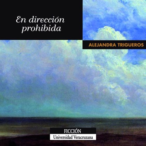 Novela de Alejandra Trigueros editada por la Editorial Veracruzana
