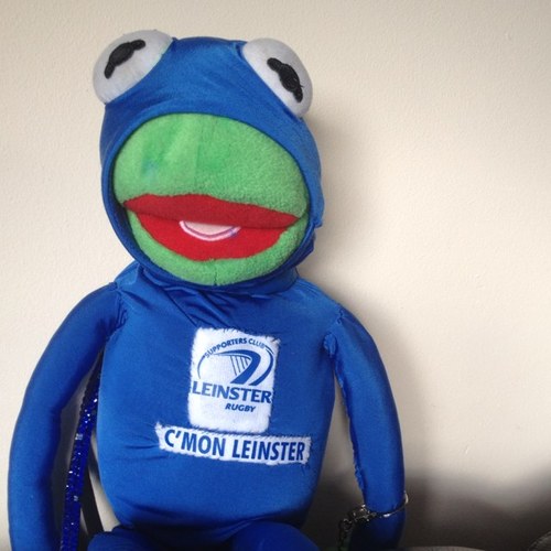 KermitLeinster's profile picture. Im a warm blooded rugby loving frog Dublin Ireland