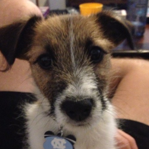 poseybm's profile picture. 