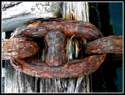 cimadev's profile picture. 