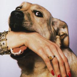 infesting's profile picture. goodbye forever