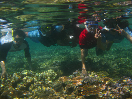 Gula Jawa :) | Environmental Engineering  Surya University | Jurnalistika-MABOSA-BOPKRI1Jogja | Serpong-Jakarta-Jogjakarta