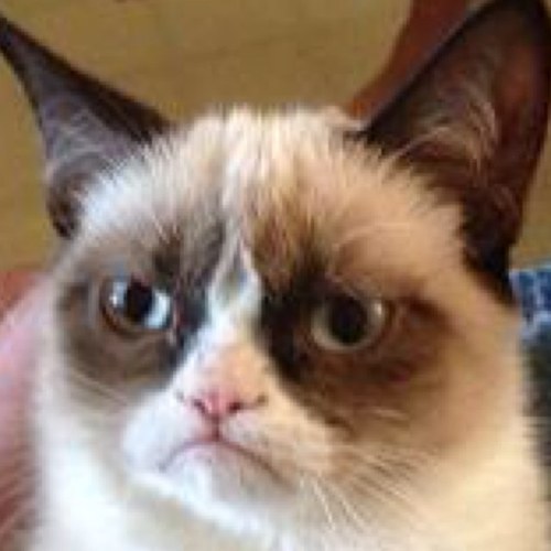 ChrisScrace's profile picture. 