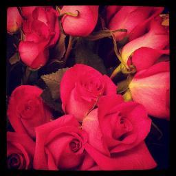When there are no words spoken, or words left unspoken  there is always knowing. Knowing you know I love you.