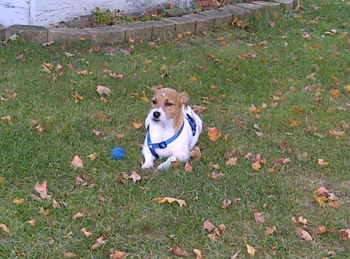 PattyL55's profile picture. 