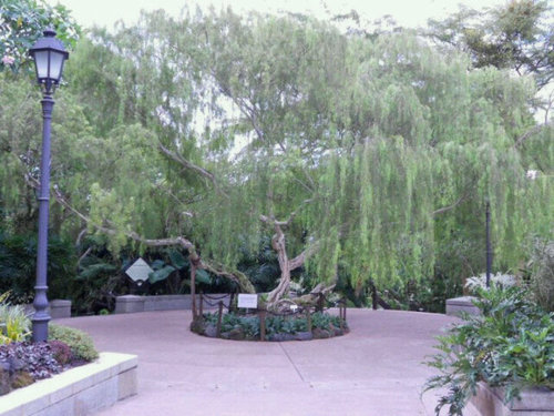 shanchez88's profile picture. 