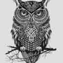 Daniel Hulbert - @DHulb - Twitter