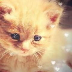 82530482Lili's profile picture. 