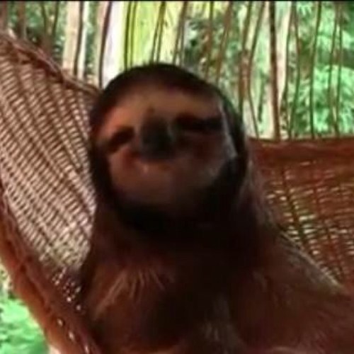 athalfpap's profile picture. Hi im Aidan :D
❤TAKEN❤
I like hockey, football,and Baseball⚾
I also love to shoot guns 
I love MONEY 
FOLLOW ME