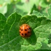 Sandra Winterberg (@sommertal) Twitter profile photo