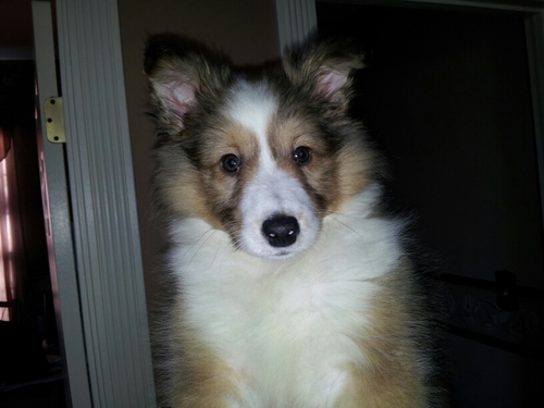 Johnson304Kathy's profile picture. 