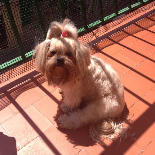 Recoba81's profile picture. Ese momento está al caer...