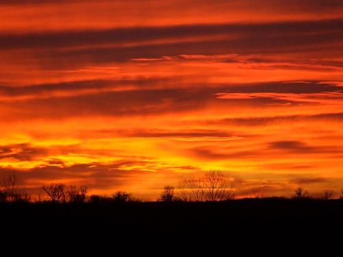 sparky10855's profile picture. 