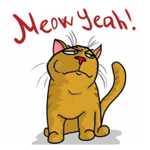 #TeamFollowBack

You follow me i follow you