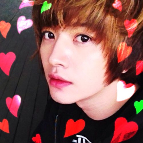 supausagi Profile Picture