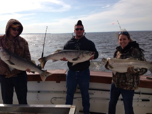 Located on the Patuxent River and near-by Chesapeake Bay. Bunky's offers Charter Fishing, Head Boat Fishing, Cruises, Tackle Store and Hershey's Ice Cream.